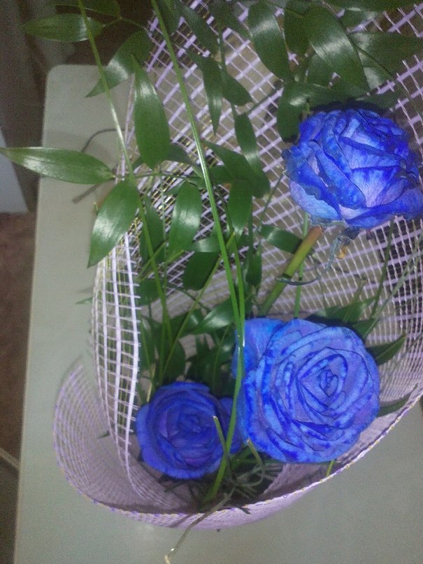 Синие розы скачать бесплатно mp3